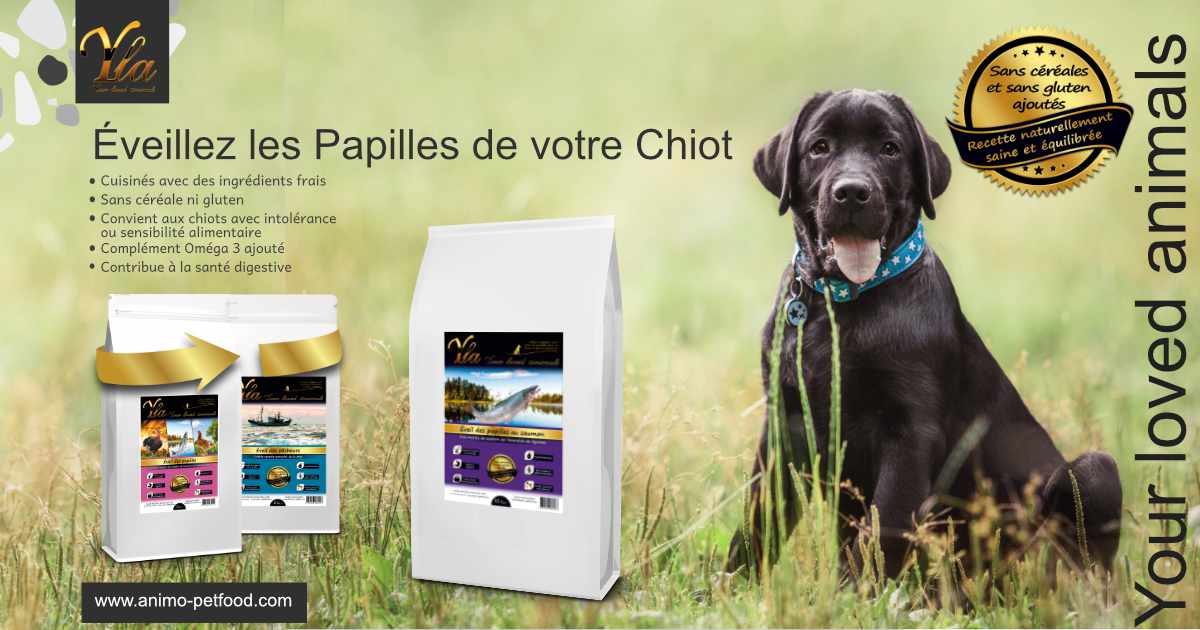 croquettes-pour-chiot-avec-sensibilite-de-la-peau